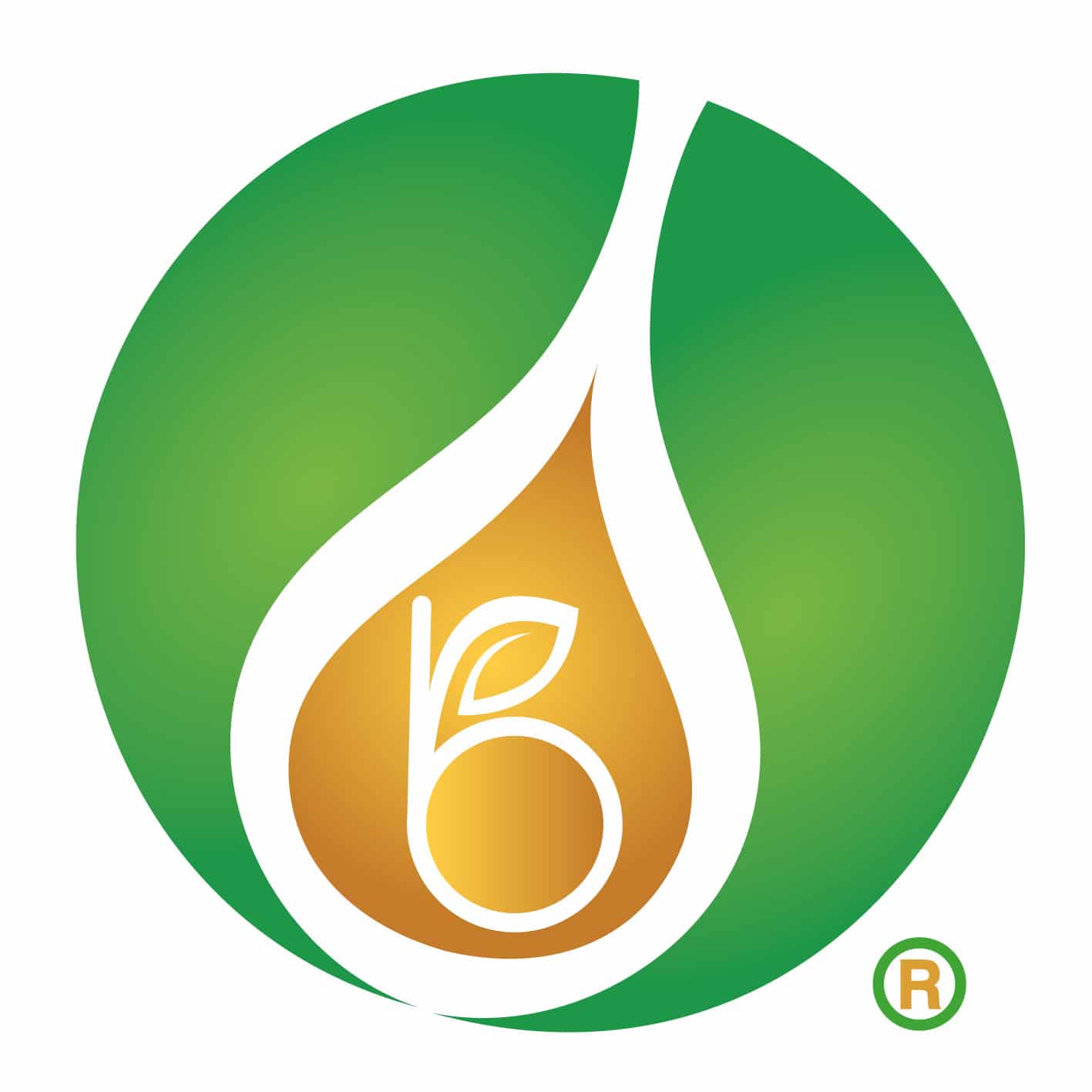 Biofuel Evolution Logo 340x340